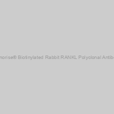 Image of Genorise® Biotinylated Rabbit RANKL Polyclonal Antibody